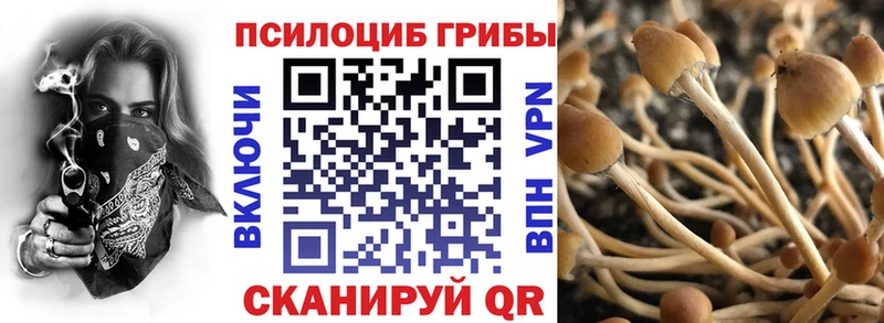 Псилоцибиновые грибы прущие грибы  Купить  Будённовск 
